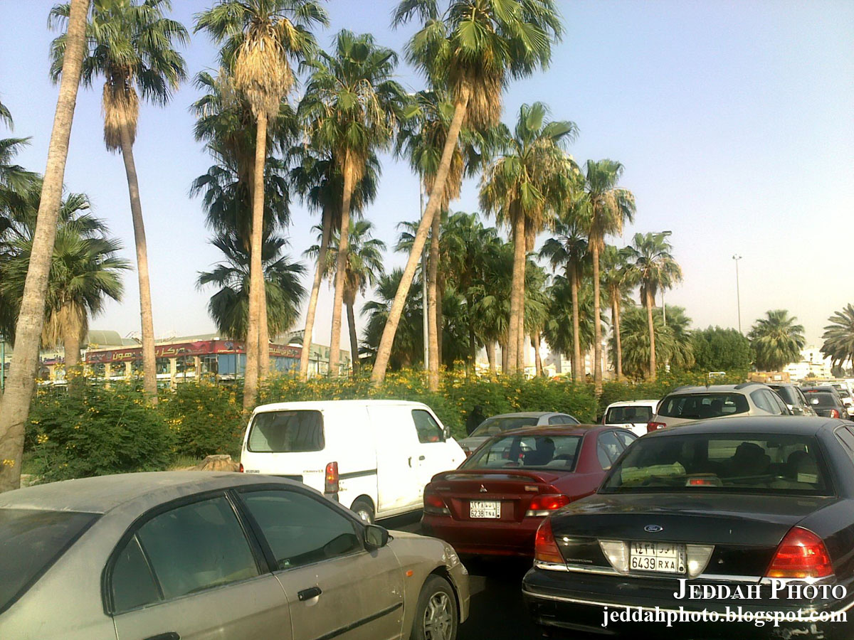 sexy naked girls swimming from Jameson dating in jeddah expats